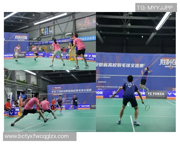 南京羽毛球队在冠军赛中的耐力表现分析与反思